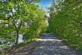 Власти нашли подрядчика для ремонта дороги в районе отеля &laquo;Балтика&raquo; под Калининградом