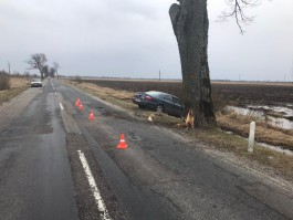 Под Полесском пьяный водитель «Мазды» врезался в дерево: пострадал 35-летний пассажир