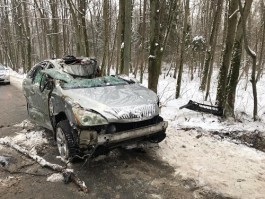 В Зеленоградском округе «Лексус» съехал в кювет и опрокинулся