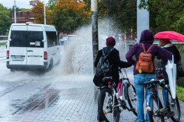 Синоптики обещают в Калининградской области дождь всю рабочую неделю