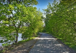 Власти ищут подрядчика для ремонта трассы под Калининградом за 130 млн рублей