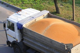 За незаконную добычу песка в Калининградской области предлагают конфисковывать технику