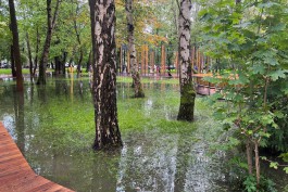 После дождя в Зеленоградске затопило новый парк «Вектор» (фото)