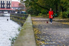 «Многофункциональный инструмент»: как будет работать карта калининградца 