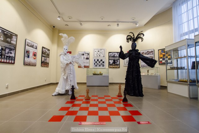 Зал шахматной экспозиции в историко-художественном музее