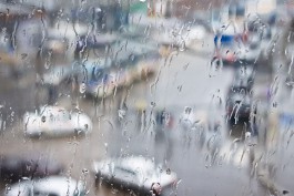 Синоптики прогнозируют в Калининграде дождливую неделю