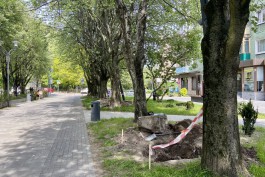 «Ремонт по гарантии»: с улицы Соммера в Калининграде убрали светящиеся шары
