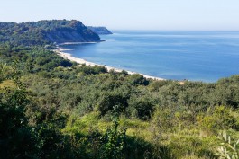 На благоустройство территории под медиалагерь в Филинской бухте выделили 290 млн рублей