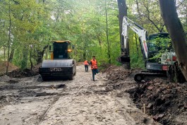 Благоустройство Макс-Ашманн-парка в Калининграде завершат в середине октября