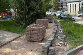 В центре Светлогорска обустроят клумбу с бонсаем