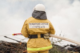 В воскресенье более 50 пожарных тушили горящую траву в Калининградской области