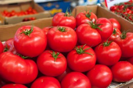 Импорт овощей в Калининградскую область вырос на 40%