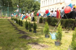 В Калининграде высадили аллею Дружбы (фото)