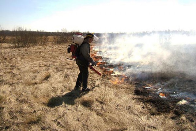 В Калининградской области объявили пожароопасный сезон