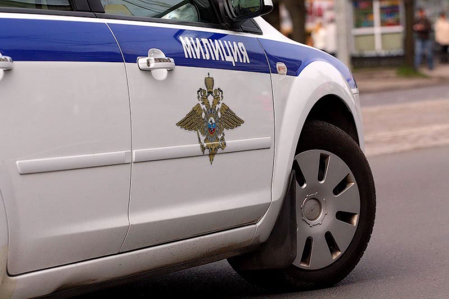 МВД оценило преобразование милиции в полицию в 2,2 миллиарда рублей