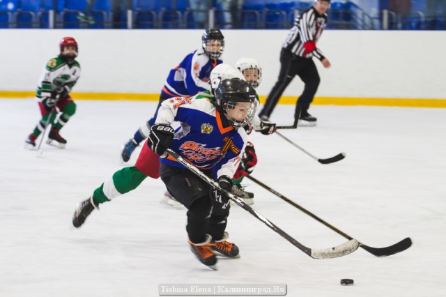 «Восставший Феникс»: калининградские хоккеисты выиграли домашний турнир (фото)