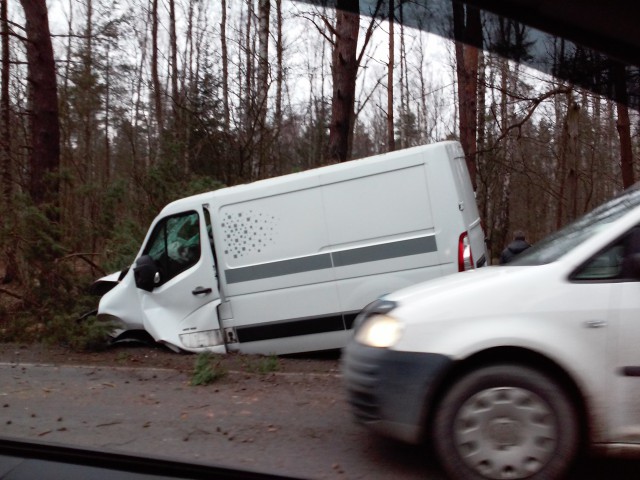На балтийской трассе фургон врезался в дерево (фото)