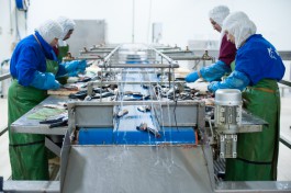 В Пионерском продают консервный завод «Корат» за 266 млн рублей