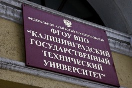 КГТУ готов выделить на ремонт входа со стороны «Быков» 4,3 млн рублей                               