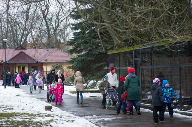 Калининградский зоопарк опубликовал график работы в новогодние праздники