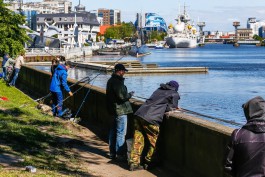 В Калининграде выделили 7,3 млн рублей для обследования берегов Преголи, Верхнего озера и Паркового ручья 
