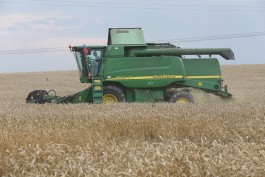 В Калининградской области убрали 70% зерновых