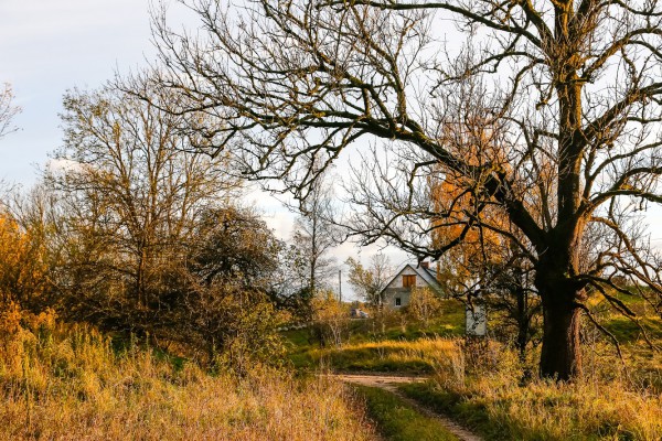 «Невольный статус»: что ждёт посёлок Краснолесье в окружении нацпарка