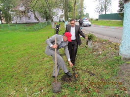 Сотрудники компании РОСГОССТРАХ в Калининграде высадили 90 деревьев
