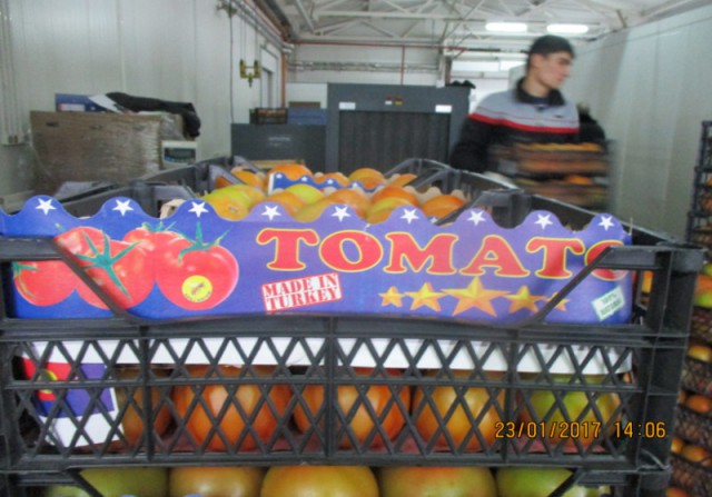 В Калининградской области уничтожили более двух тонн помидоров из Турции
