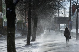 В первую неделю февраля в Калининградской области прогнозируют снег, дождь и солнце