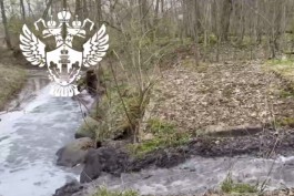 Росприроднадзор: «Водоканал» сбрасывал мутные стоки в реку, которая впадает в Преголю  