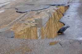 Жительница Пионерского обязала администрацию отремонтировать разбитую дорогу