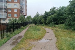 Вместо народной тропы в районе улицы Майской в Калининграде обустроят пешеходную дорожку