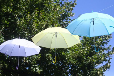 В выходные синоптики прогнозируют в Калининградской области до +26°C