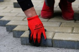 На улице Дадаева в Калининграде обустроят пешеходные дорожки на месте народных троп