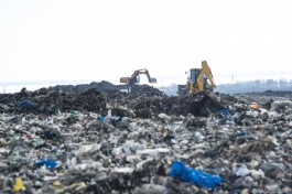 Власти выделяют 250 млн рублей на модернизацию мусорного полигона под Советском