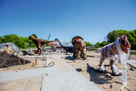 Рядом с Приморским карьером в Янтарном готовят к открытию парк с гигантскими динозаврами (фото, видео)