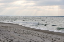 Метеорологи обещают пасмурную рабочую неделю с ночными заморозками в Калининградской области