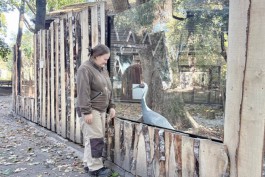В Калининградском зоопарке благоустроили вольер журавлей (фото)
