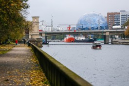 На рабочей неделе в Калининградской области обещают до +16°С