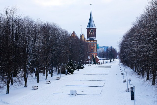 На рабочей неделе в Калининградской области потеплеет до +5°C
