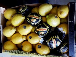 В Калининградскую область не пустили крупную партию санкционных лимонов и имбиря (фото)