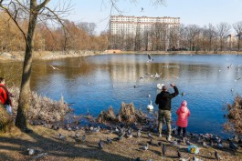 В Калининградской области ожидается потепление до +10°С на рабочей неделе