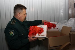 Калининградская таможня задержала более тысячи коробок конфет «8 Марта» из Польши