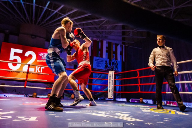 «Спарринг на отлично»: калининградские боксёры выиграли домашний международный кубок (фото)