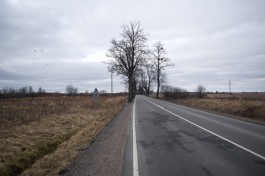 В Калининградской области ищут подрядчика для ремонта трассы под Черняховском за 143 млн рублей