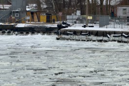Перевозчик увеличивает количество рейсов на Балтийскую косу