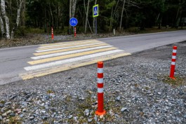 Власти: Дорогу на Куршской косе будут ремонтировать и днём и ночью
