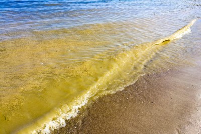 Любуйся Балтийским морем в прямом эфире из Зеленоградска