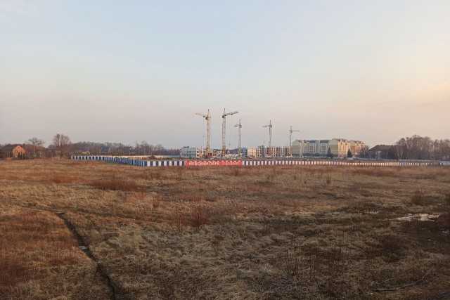 На участке между Невского и Арсенальной разрешили построить ещё четыре девятиэтажки